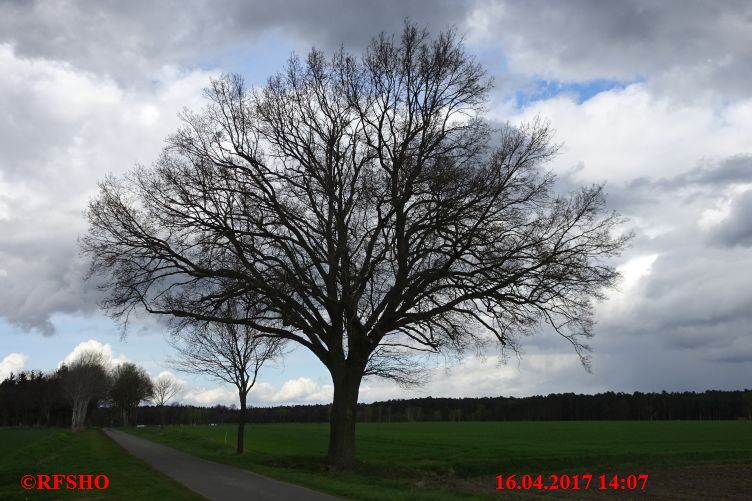 Schützenstraße