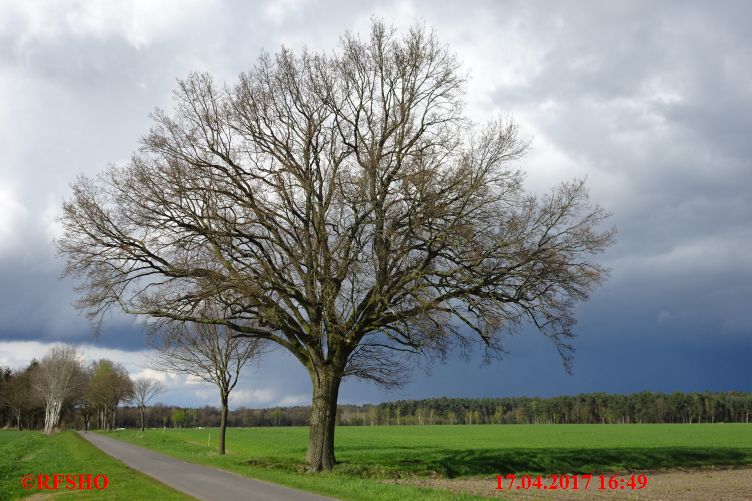 Schützenstraße