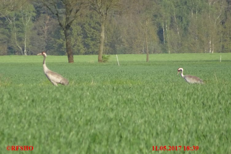 Große-Wörde-Weg