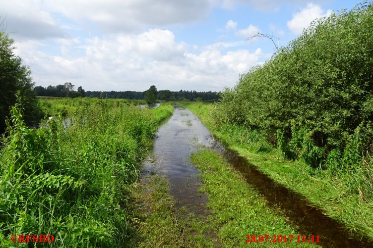 Ise, Lübingshorster Brücke