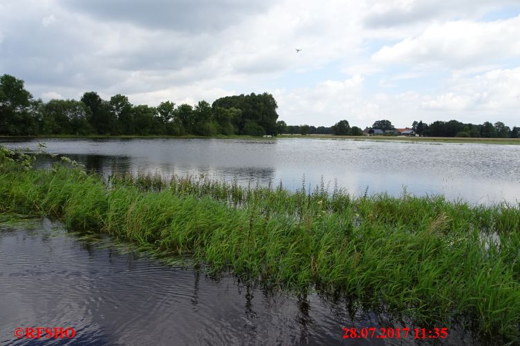 Hochwasser, Feldstraße