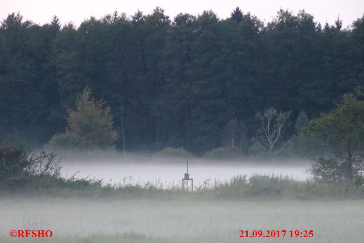 Ise, Lübingshorster Brücke