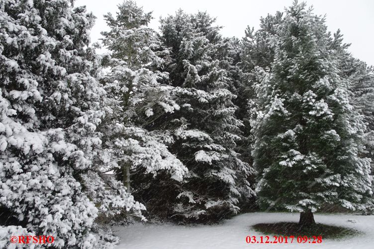 Ringstraße, Schnee