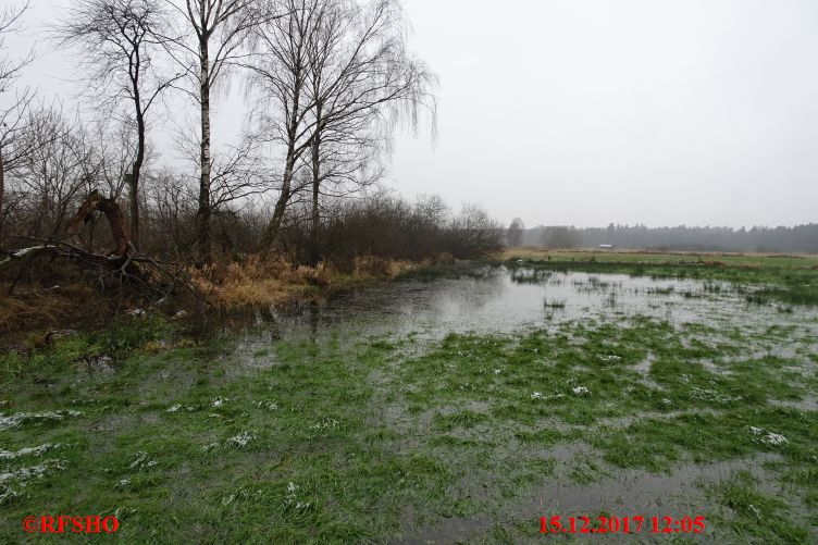 Lübingshorst Wiese