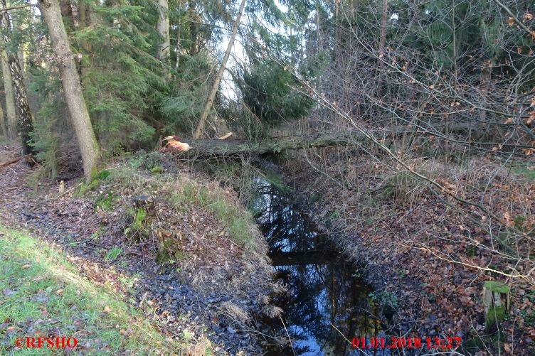 Lübingshorster  Talgraben im Betzhorner Leu