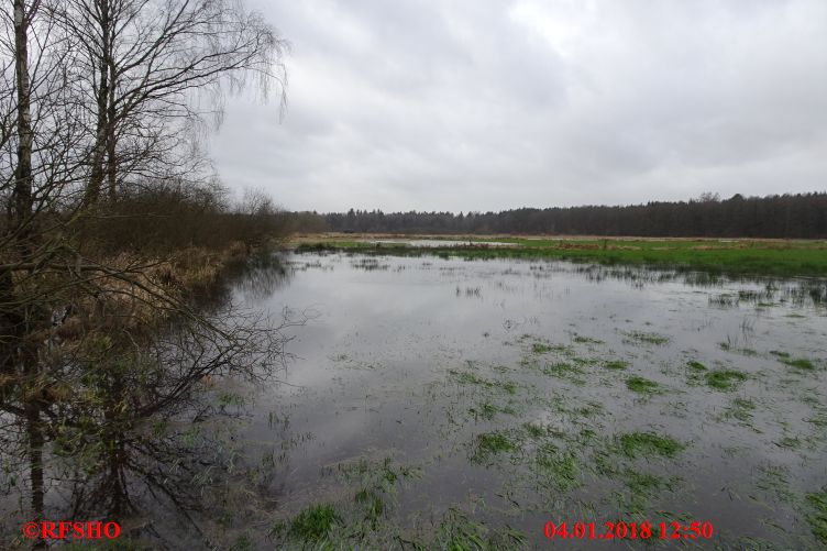 Lübingshorst Wiesen