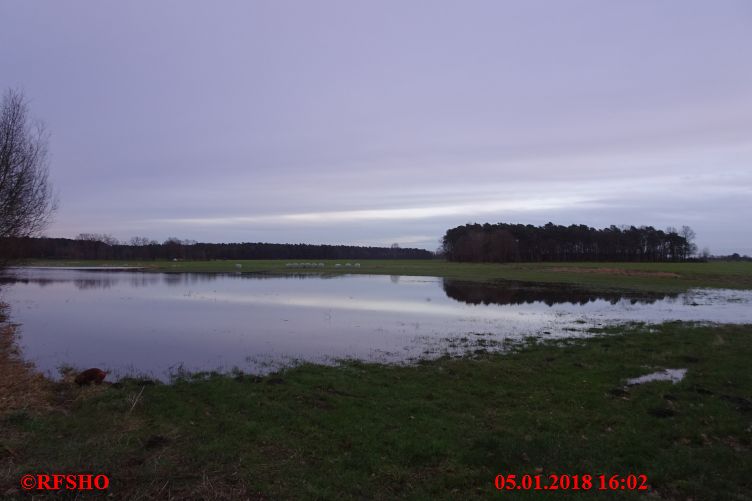 Ise, Lübingshorster Brücke