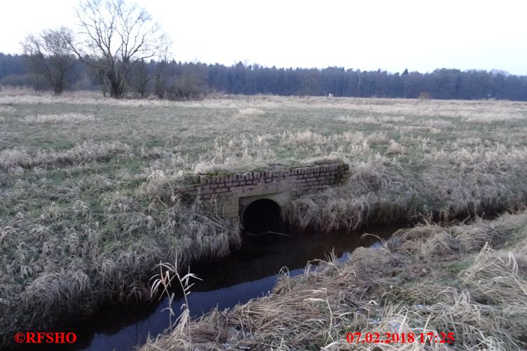 Einlauf Lübingshorster Talgraben in Schönewörder Talgraben