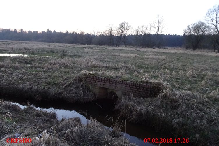 Einlauf Lübingshorster Talgraben in Schönewörder Talgraben