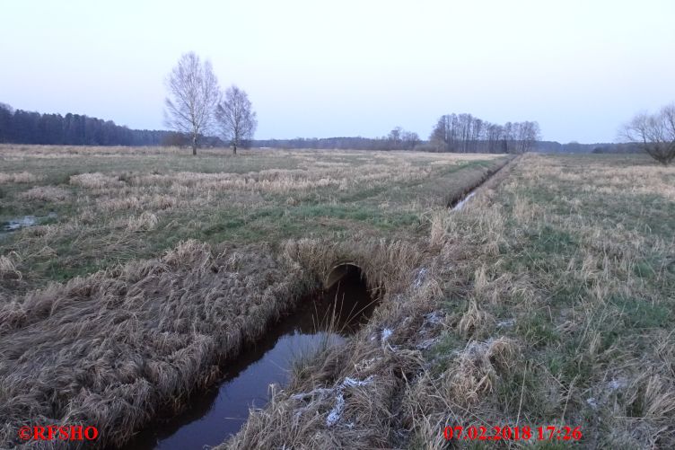 Brücke  Schönewörder Talgraben