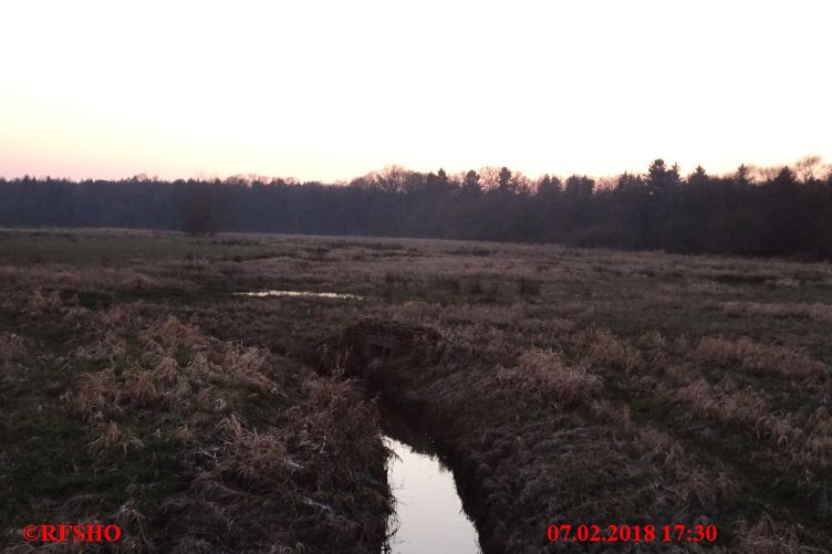 Einlauf Lübingshorster Talgraben in Schönewörder Talgraben