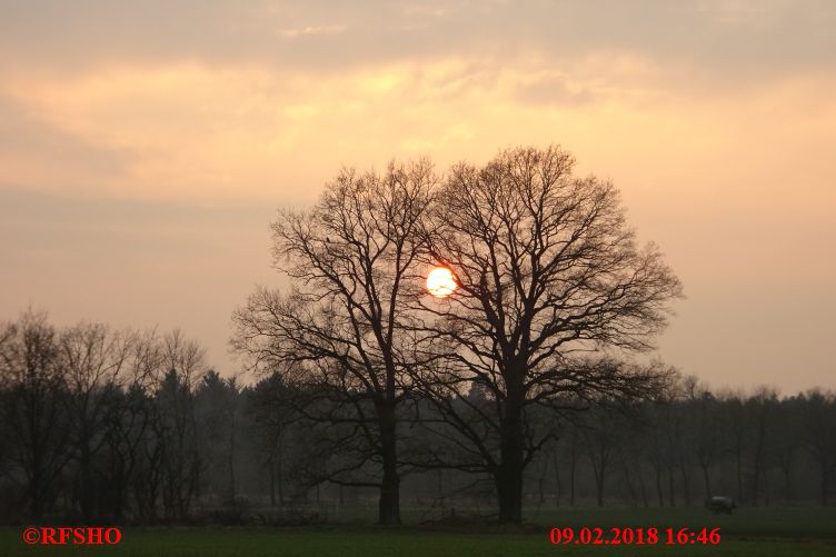 Lootsche Weg