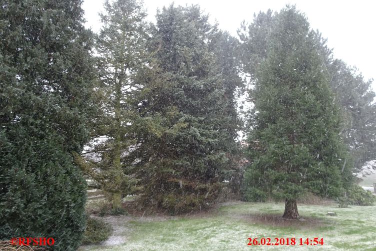 Ringstraße, Schnee