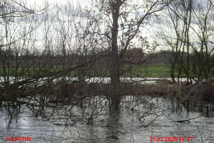 Ise, Lübingshorster Brücke