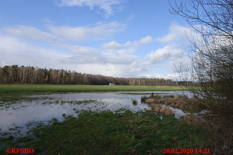Lübingshorst Wiese