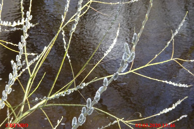 Ise, Lübingshorster Brücke