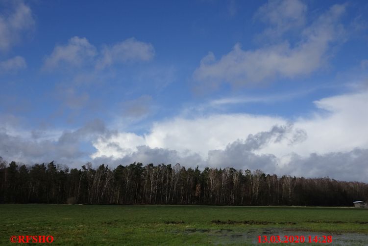 Lübingshorstwiese