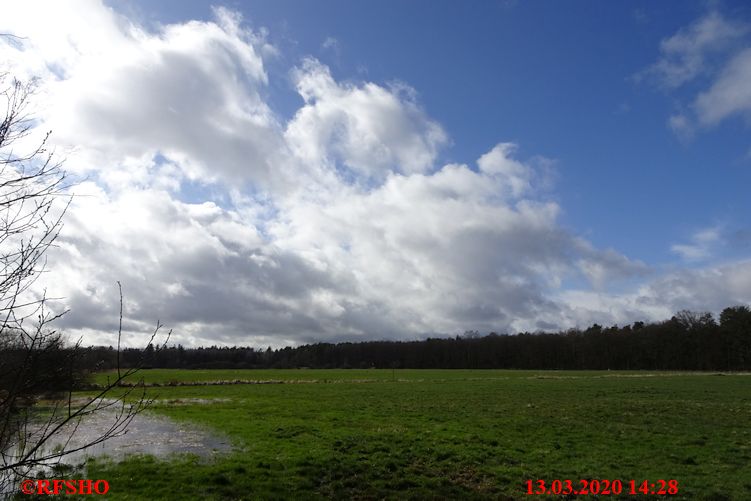 Lübingshorstwiese