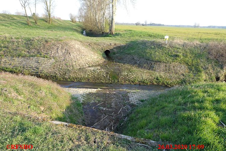 die Riet am Elbe-Seitenkanal