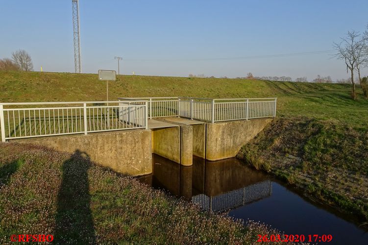 die Riet am Elbe-Seitenkanal