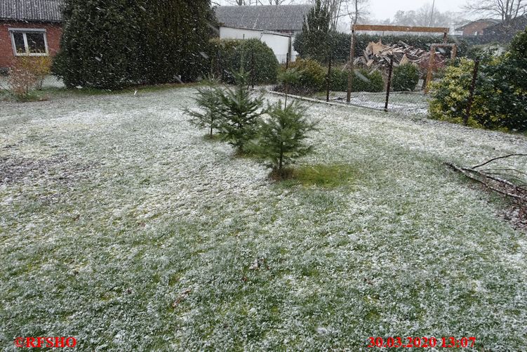 Ringstraße, es schneit