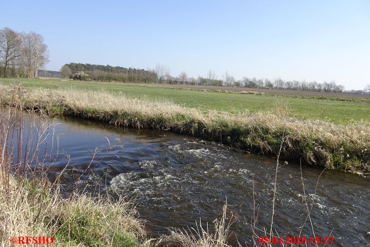 Ise, Lübingshorst Wiesen