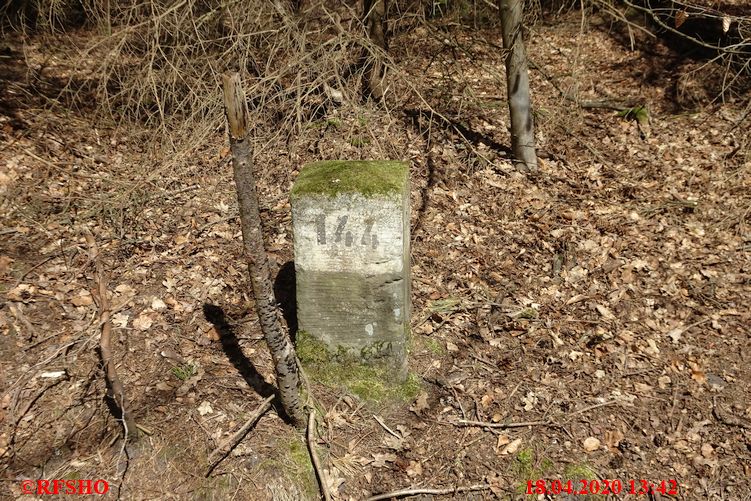 Forstabteilung 144