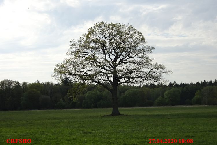 Neue-Land-Weg