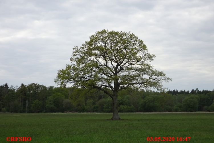 Neue-Land-Weg