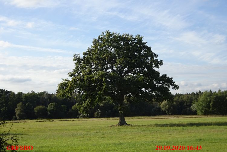 Neue-Land-Weg