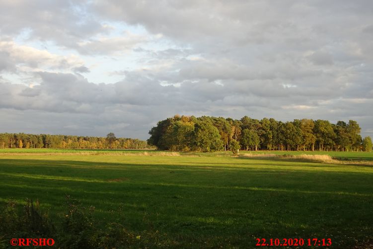 Ise, Lübingshorster Brücke