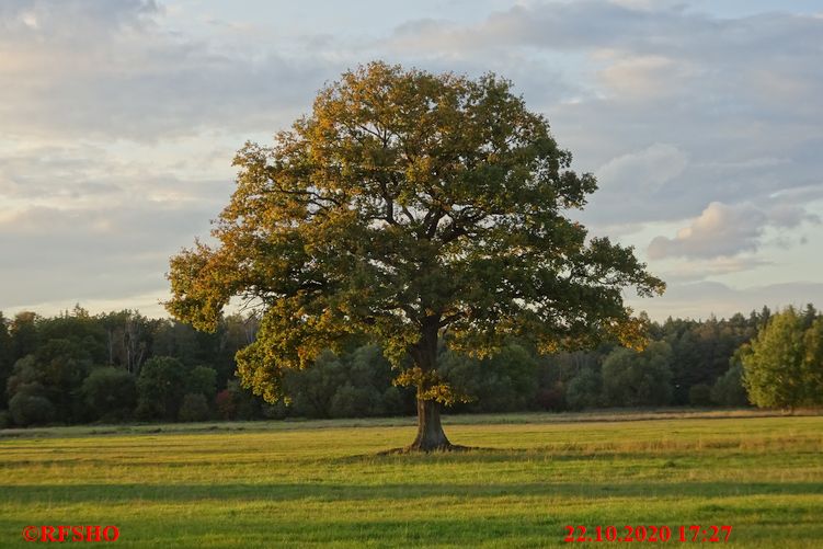 Neue-Land-Weg