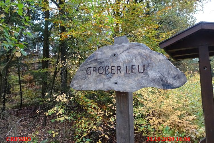 Großer Leu