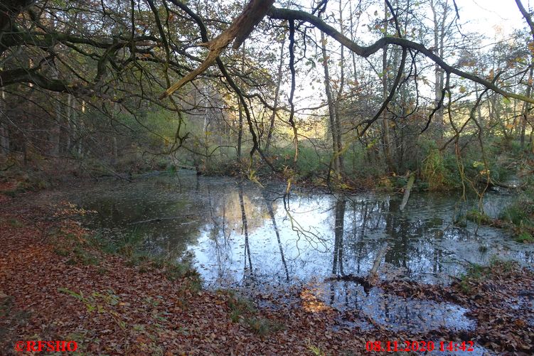 Großer Leu, Ise Altarm