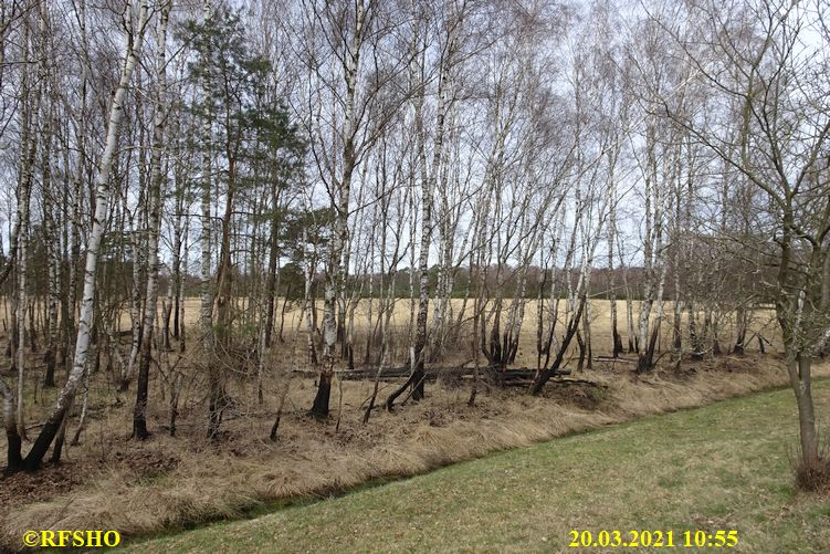 Moor am Elbe-Seitenkanal km 25,5