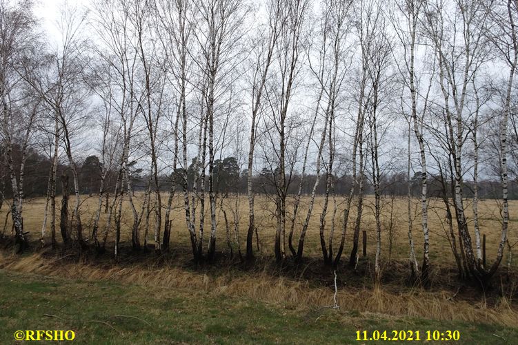 Moor am Elbe-Seitenkanal km 25,5