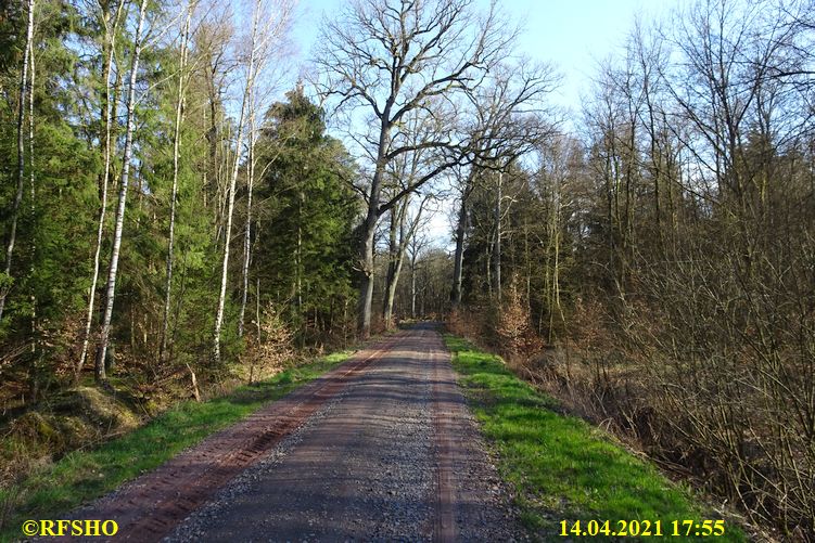 Leu Straße, Brücken Eichen