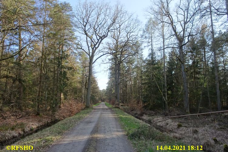 Leu Straße, Brücken Eichen