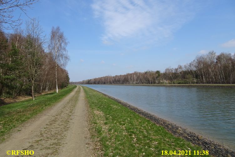 Moor am Elbe-Seitenkanal km 25,5