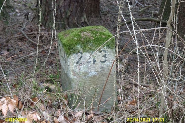 im Großen Leu