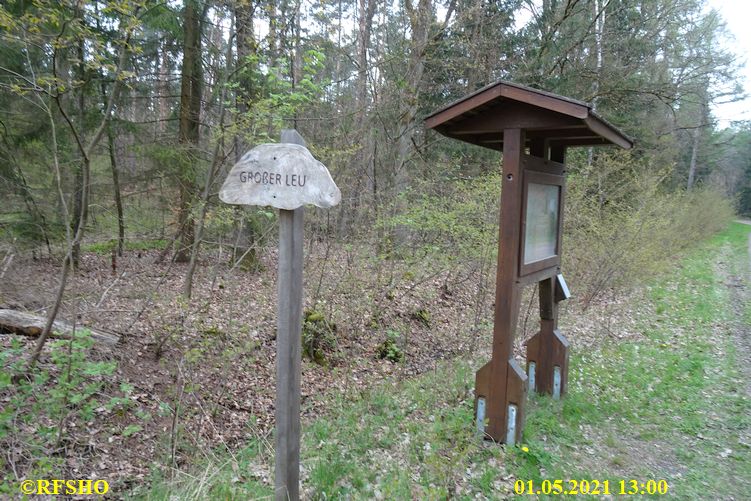 im Großen Leu