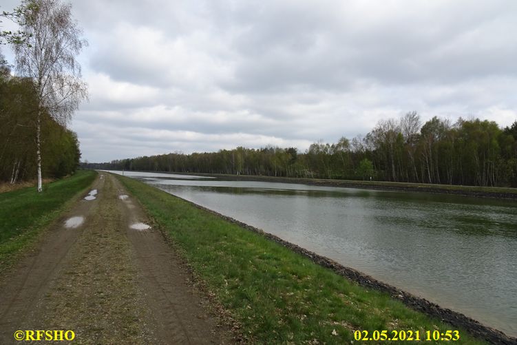 Moor am Elbe-Seitenkanal km 25,5