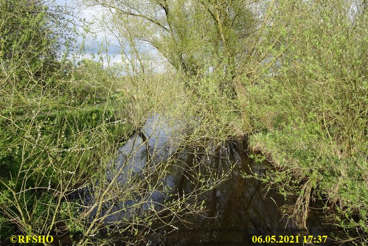 Ise Lübingshorster Brücke