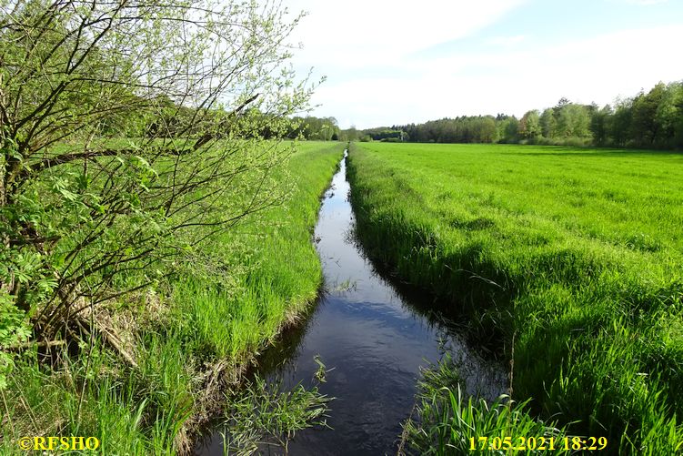 im Großen Leu