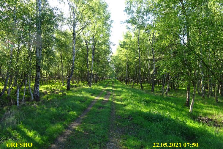 Marschstrecke durchs Moor