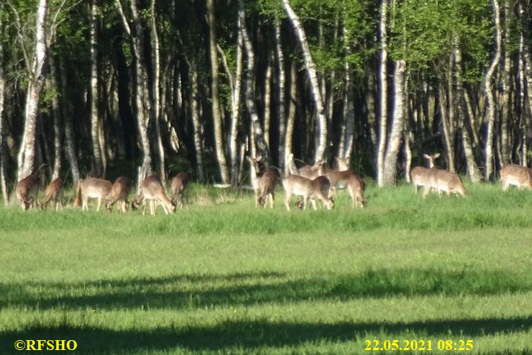 Marschstrecke durchs Moor