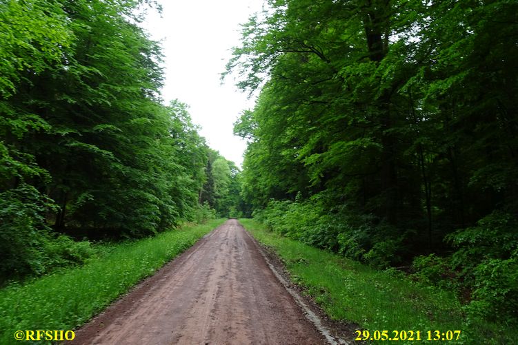 Marschstrecke, Großer Leu