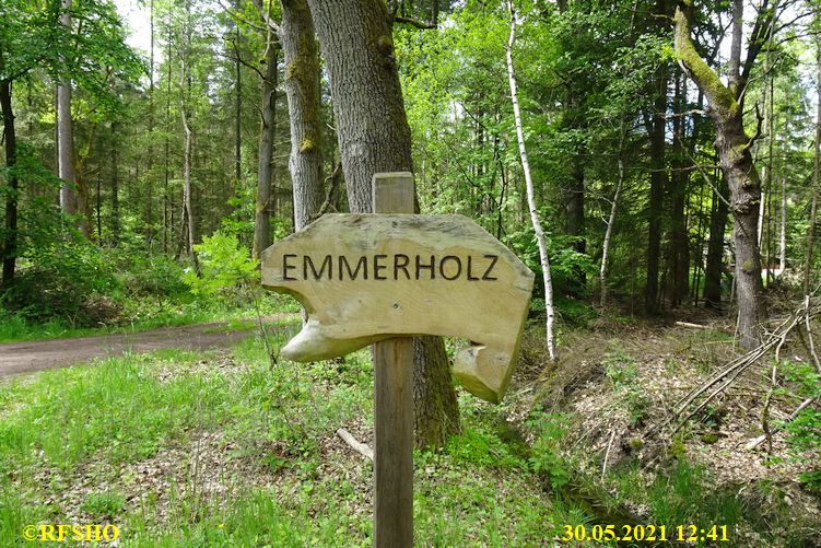 im Emmer Holz