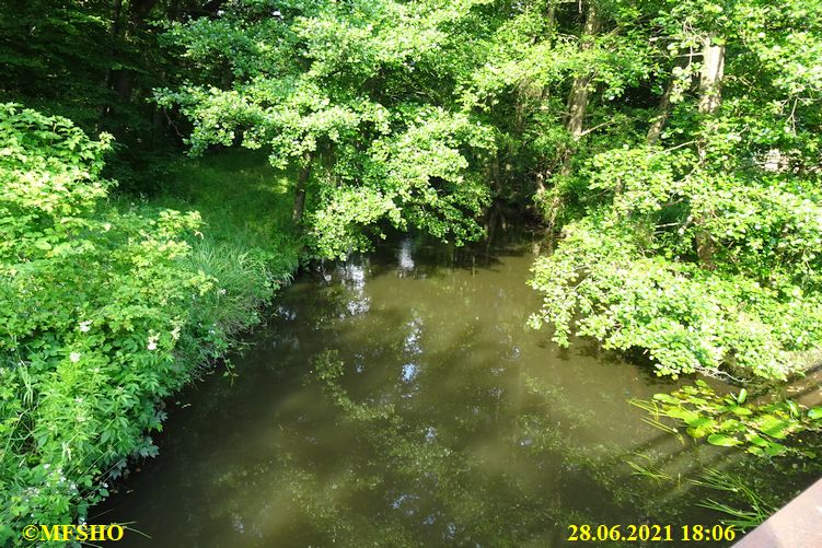 Ise, Hohe Brücke