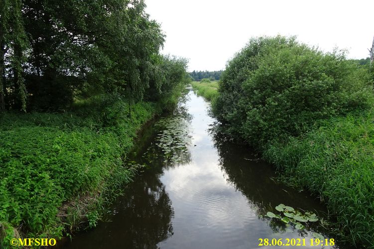 Ise Lübingshorster Brücke